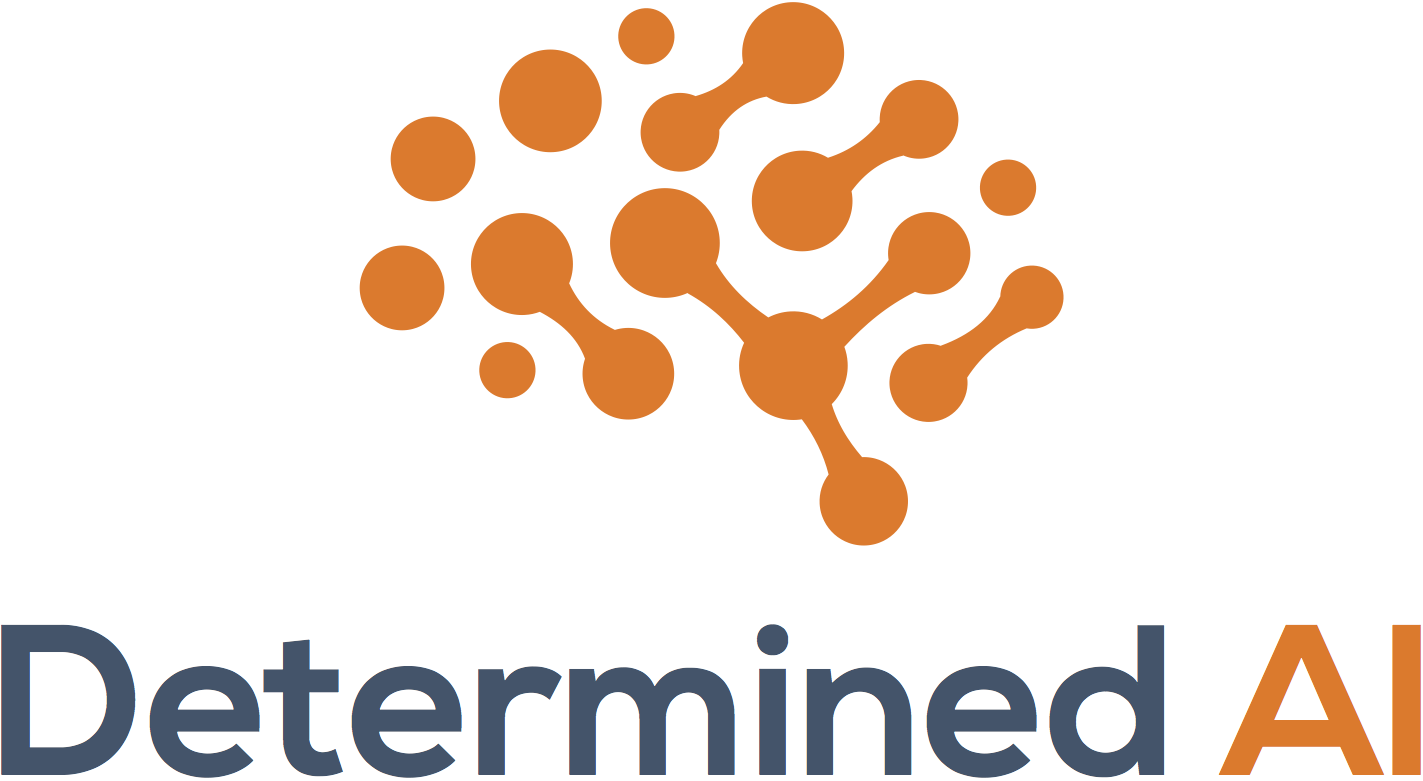 Determined AI